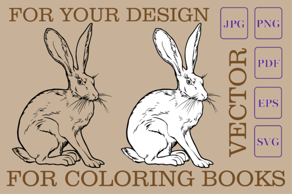 Hare Sitting Vector Review: A Designer's Take on Line Art